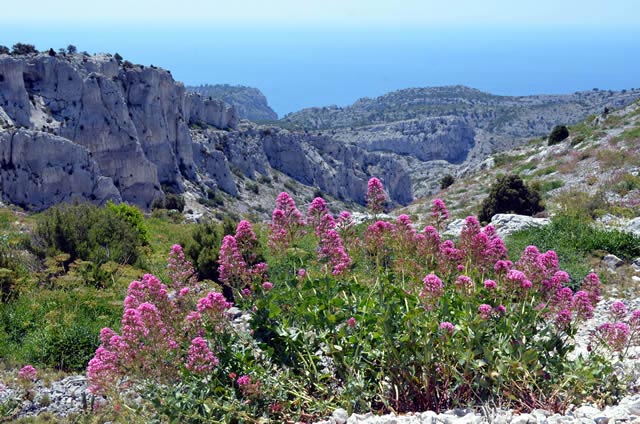 Calanques