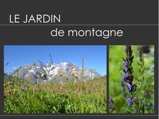 Le Jardin De Montagne