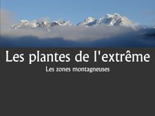 Les Plantes De L'extrême