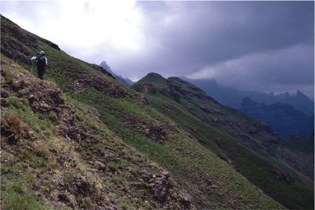 <p>Cathedral Peak</p>