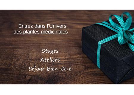 Carte Cadeau Stage2 001