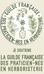 Baniere Gufph 240x400 Baniere Gufph 240x400