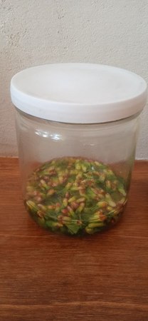 Photo 2025 04 07 17 56 35