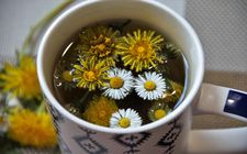 Tisane