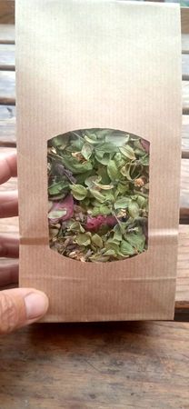 Photo 2025 09 27 16 04 05 Photo 2025 09 27 16 04 05