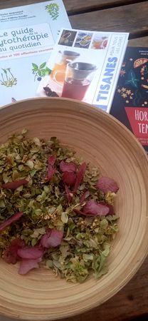 Photo 2025 09 27 16 04 05