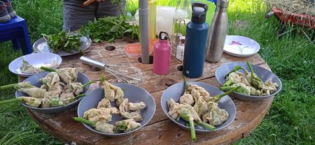 Photo 2025 11 14 07 55 18 Compressed