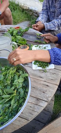 2021 (13) Compressed