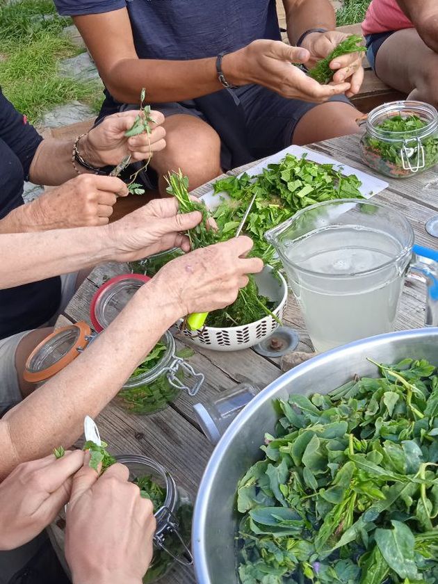 Photo 2023 11 22 09 35 25