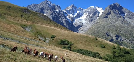 Photo 2025 11 14 07 55 53