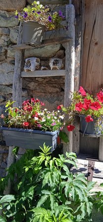 Photo 2025 11 14 07 57 14