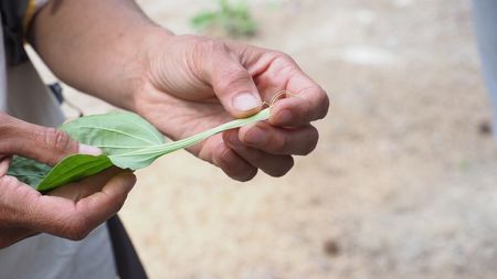 Identification Val Des Pres (13)