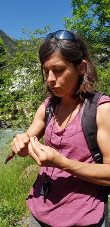 Reconnaissance Plantes (1)