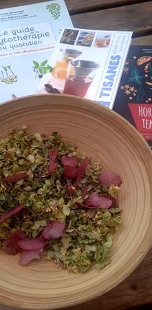 Photo 2025 09 27 16 04 09