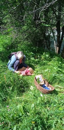 Phytothérapie Préparation (19)