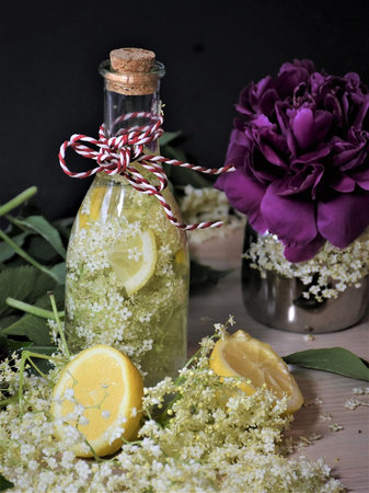 Elder 4325370 1280 Elder 4325370 1280