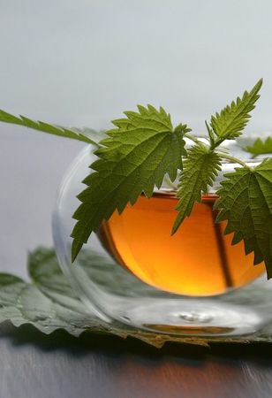 Tisane